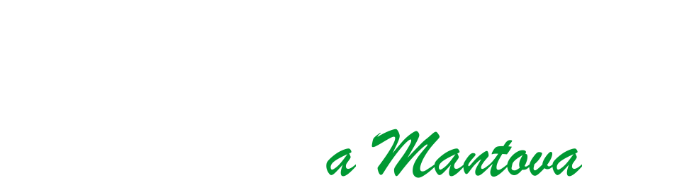 logocasavacanzemantova3.png